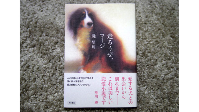 犬好きだけでなく現在・未来に悩める子供へ贈りたい本「雨降る森の犬/馳星周」 | 6i9poppa BLOG（ビッグポッパ ブログ）